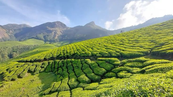 unsplash_Jqc2nOH3u3Y_Kerala.webp.jpg.jpg