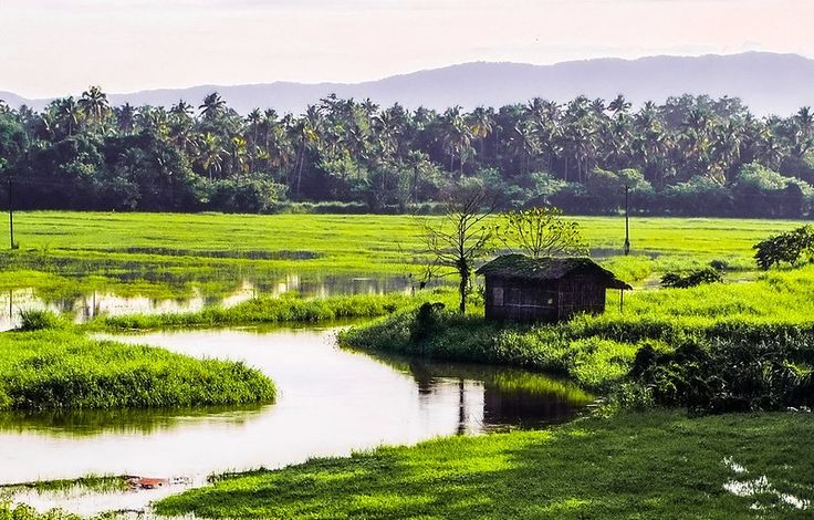 unsplash_Jqc2nOH3u3Y_Kerala.webp.jpg.jpg