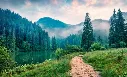 unsplash_0tuzOfs-T3s_kerala.webp