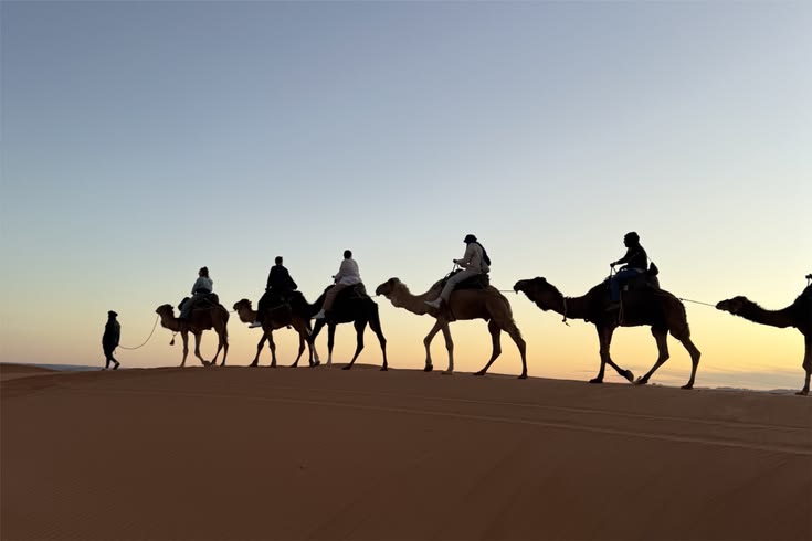 unsplash_R1CGt8exzLg_jaisalmer.webp