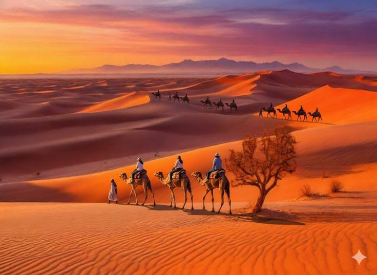 unsplash_R1CGt8exzLg_jaisalmer.webp
