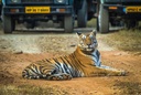 unsplash_R1CGt8exzLg_jaisalmer.webp