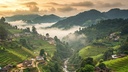 unsplash_YO9EtLUIGHA_kerala.webp.jpg.jpg