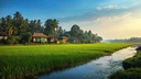 unsplash_Jqc2nOH3u3Y_Kerala.webp.jpg.jpg