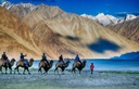 unsplash_Jqc2nOH3u3Y_Kerala.webp.jpg.jpg