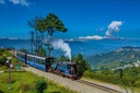 Darjeeling | Gangtok | Sikkim