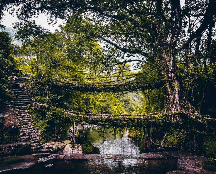 MEGHALAYA