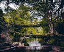 MEGHALAYA