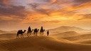 Desert tour of Rajasthan